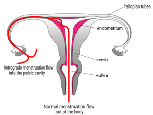 la menstruación
